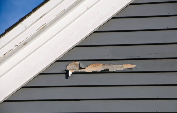 Best Foreclosure Cleanout  in San Marcos, CA